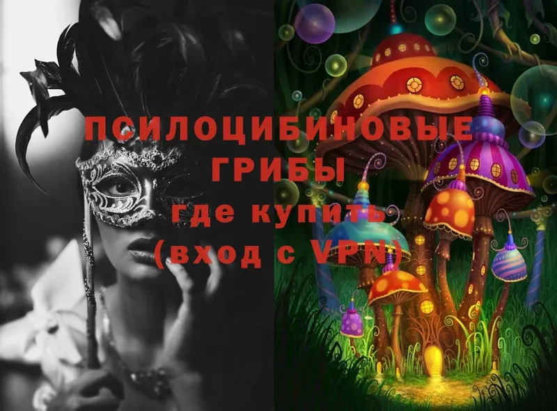 OMG ССЫЛКА  Шиханы  Псилоцибиновые грибы Psilocybe  продажа наркотиков 